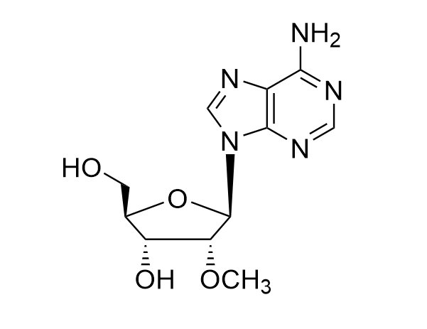 2'-O-Methyladenosine