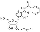 N6-苯甲?；?2'-O-(2-甲氧基乙基)腺苷